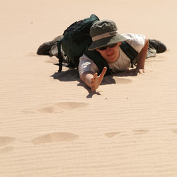 Similar image 111002