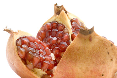 Similar image 111006