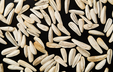 Similar image 111010