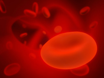 Similar image 111062