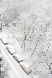 Similar image 111073