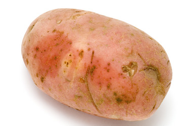 Similar image 111077