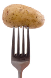 Similar image 111080