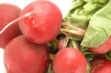 Similar image 111088