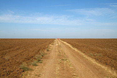 Similar image 111108