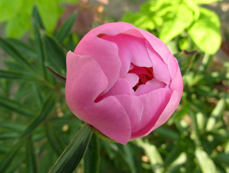 Similar image 111146