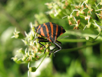 Similar image 111149