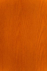 Similar image 111168