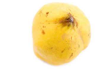 Similar image 111180