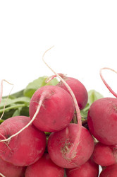 Similar image 111183