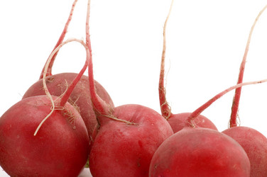 Similar image 111185