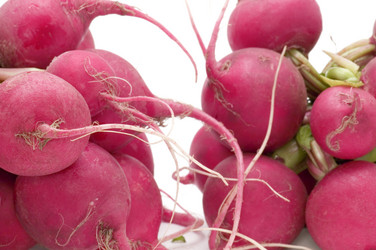 Similar image 111186