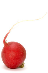 Similar image 111187