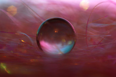 Similar image 111192