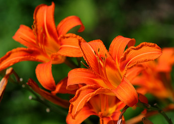 Similar image 111202