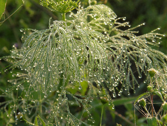 Similar image 111205