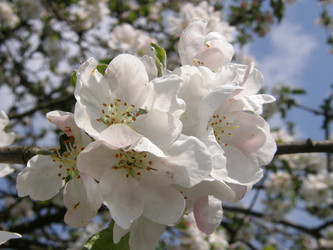 Similar image 111212