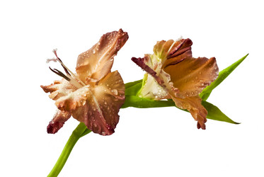 Similar image 111238