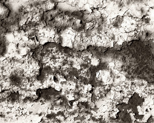 Similar image 111246