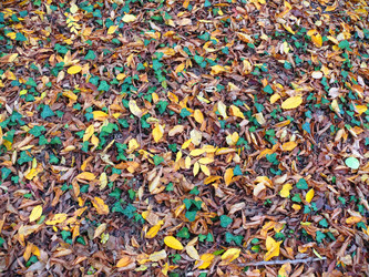 Similar image 111263