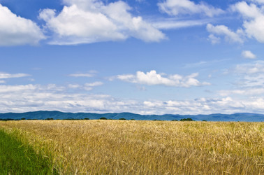 Similar image 111273