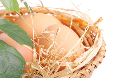 Similar image 111278