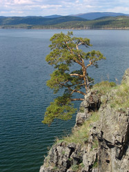 Similar image 111283