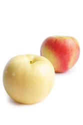 Similar image 111290