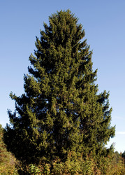 Similar image 111305