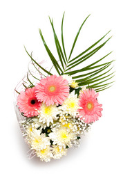 Similar image 111406