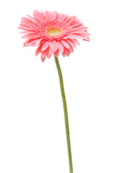 Similar image 111414