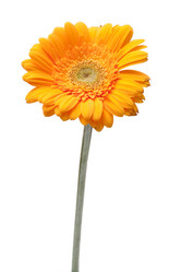 Similar image 111417