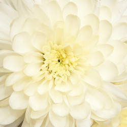 Similar image 111423