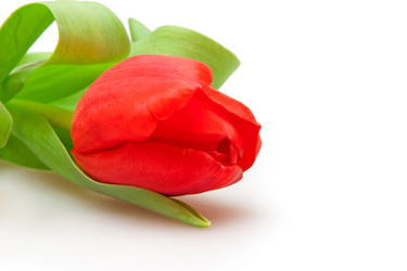 Similar image 111424