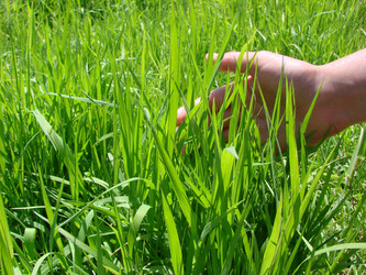 Similar image 111425