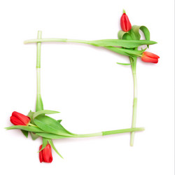 Similar image 111426