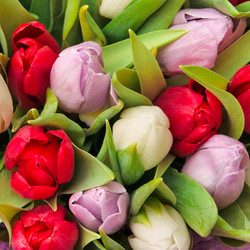 Similar image 111429