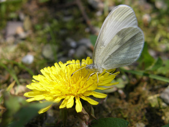 Similar image 111433