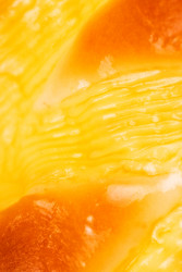 Similar image 111439