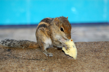 Similar image 111454