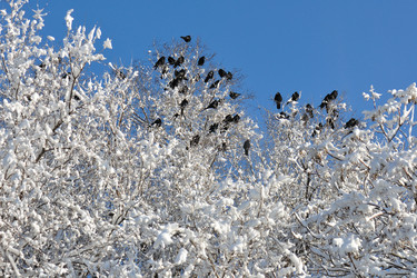 Similar image 111496