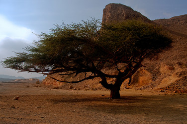 Similar image 111507