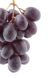 Similar image 111513