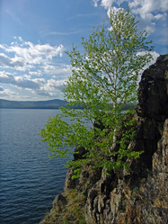 Similar image 111532