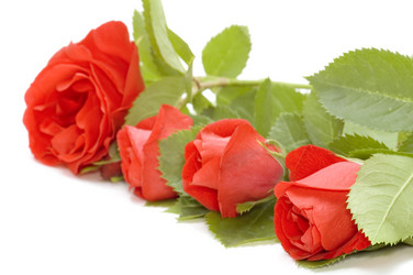 Similar image 111537