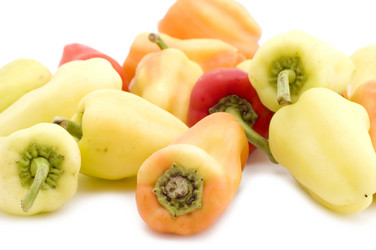 Similar image 111543