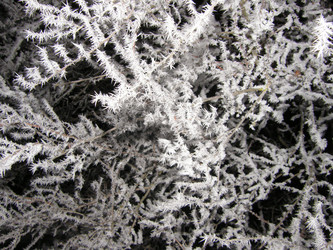 Similar image 111566