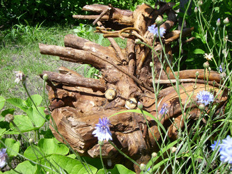 Similar image 111613