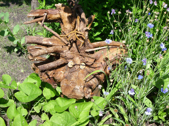 Similar image 111614