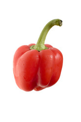 Similar image 111700